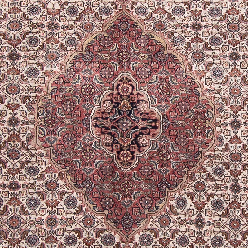 インド ビジャー 絨毯 303x245cm - オリエンタル絨毯