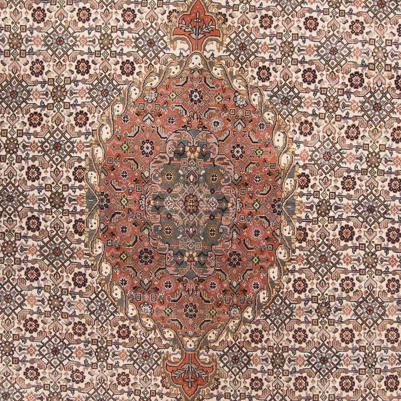 インド ビジャー 絨毯 338x243cm - オリエンタル絨毯