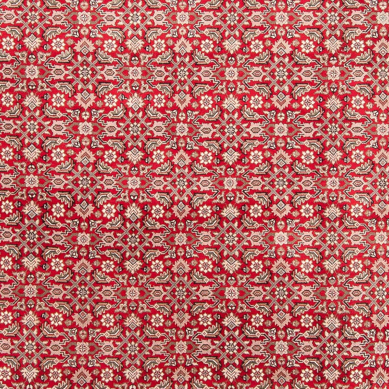 インド ビジャー 絨毯 352x237cm - オリエンタル絨毯