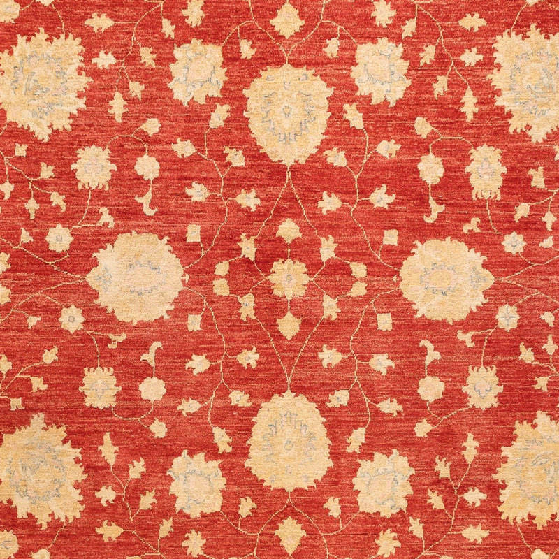 ツィーグラー絨毯 355x254cm - オリエンタル絨毯