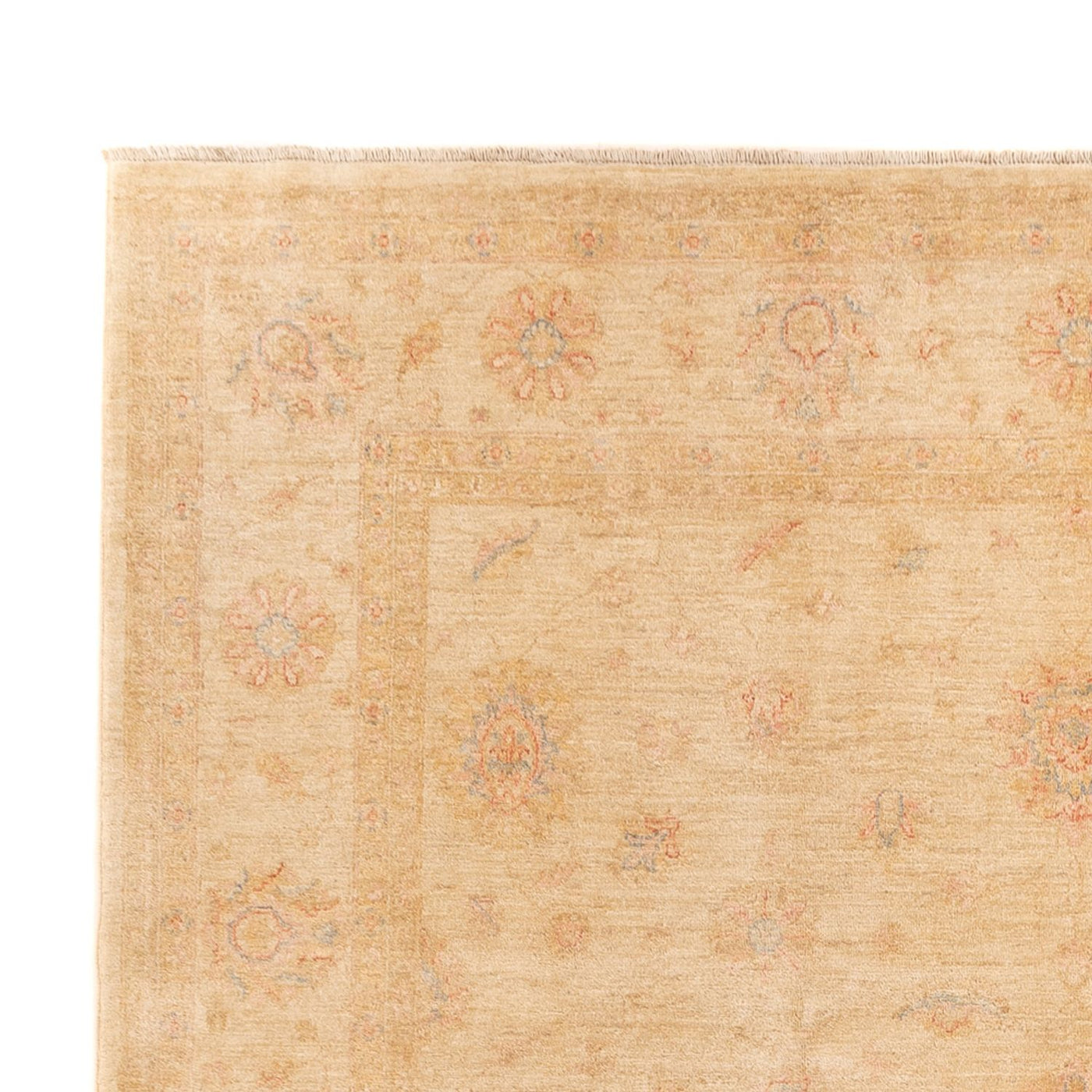 ツィーグラー絨毯 350x252cm - オリエンタル絨毯