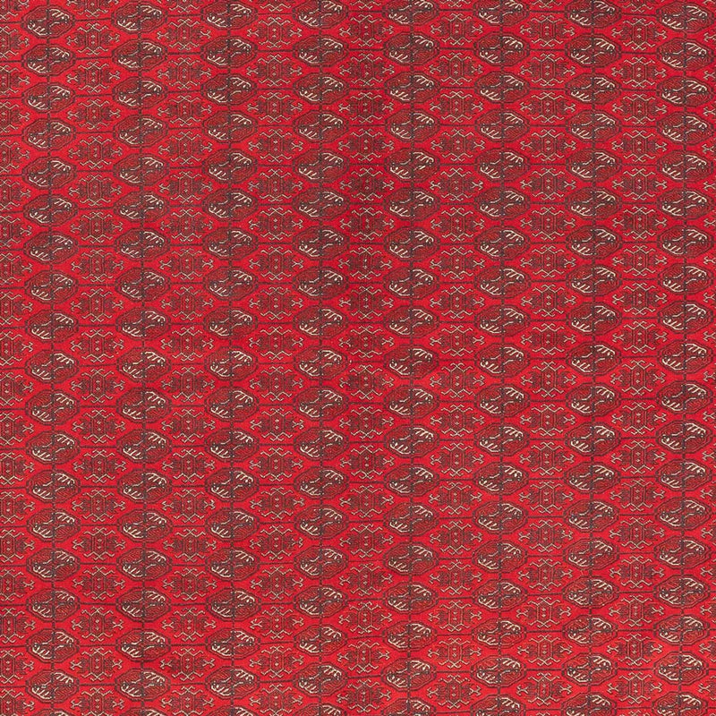 アフガン絨毯 400x305cm - オリエンタル絨毯
