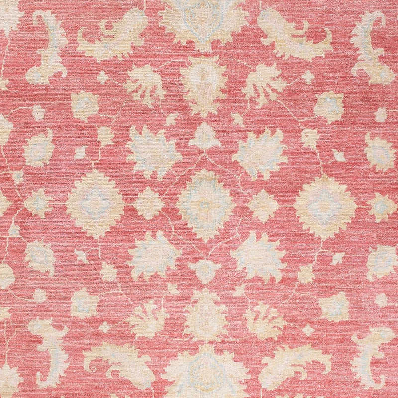 ツィーグラー絨毯 245x175cm - オリエンタル絨毯