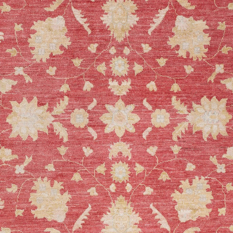 ツィーグラー絨毯 234x169cm - オリエンタル絨毯