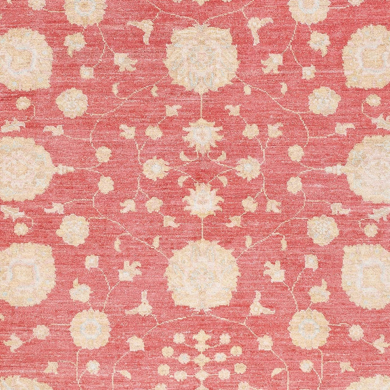 ツィーグラー絨毯 238x176cm - オリエンタル絨毯