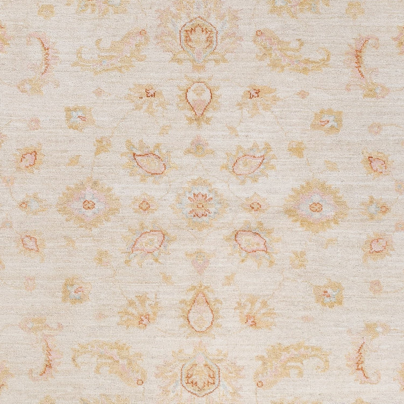 ツィーグラー絨毯 245x173cm - オリエンタル絨毯
