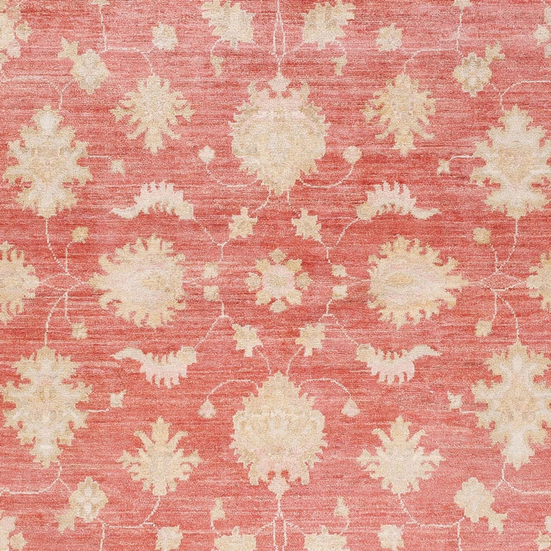 ツィーグラー絨毯 248x174cm - オリエンタル絨毯