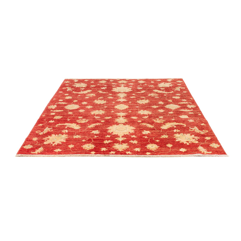ツィーグラー モダン 絨毯 206x154cm - オリエンタル絨毯