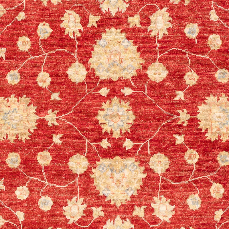 ツィーグラー絨毯 177x124cm - オリエンタル絨毯