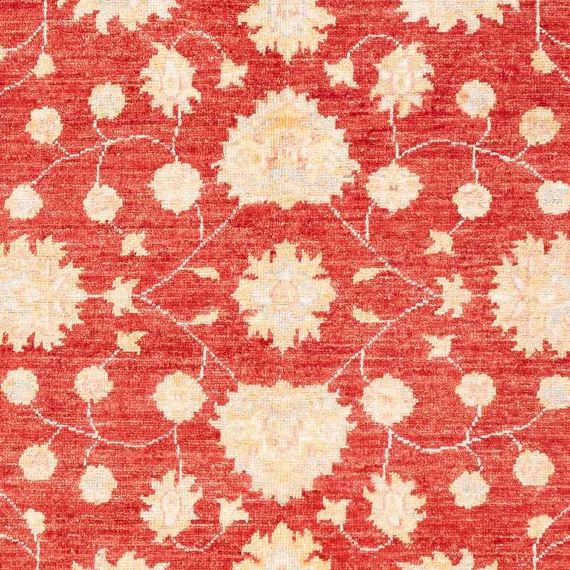 ツィーグラー絨毯 177x126cm - オリエンタル絨毯