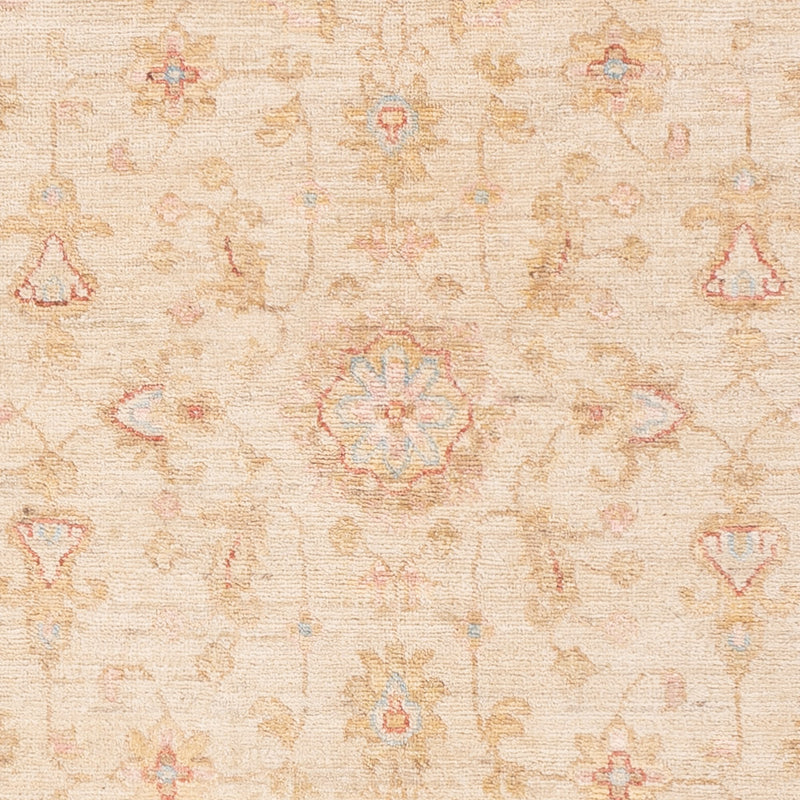 ツィーグラー絨毯 154x102cm - オリエンタル絨毯