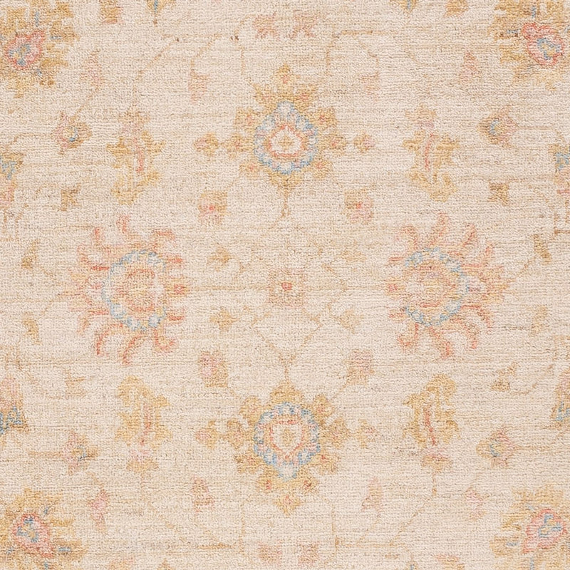 ツィーグラー絨毯 151x103cm - オリエンタル絨毯