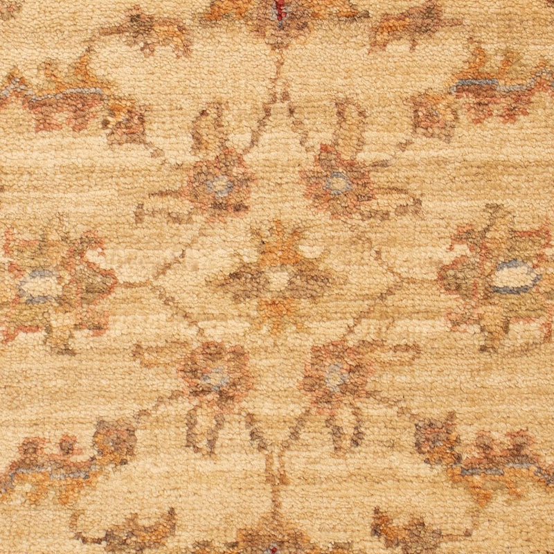 ツィーグラー絨毯 67x51cm - オリエンタル絨毯