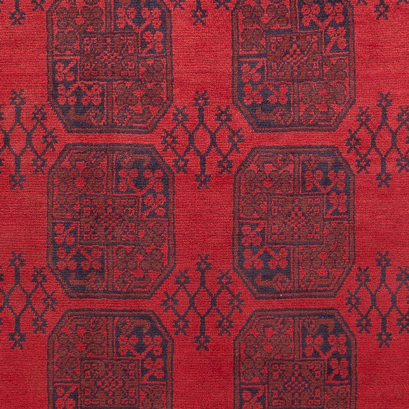 アクチェ 絨毯 350x253cm - オリエンタル絨毯