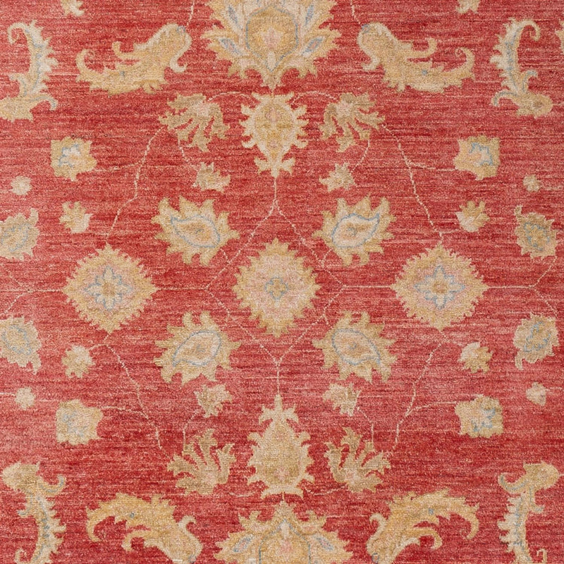 ツィーグラー絨毯 303x210cm - オリエンタル絨毯