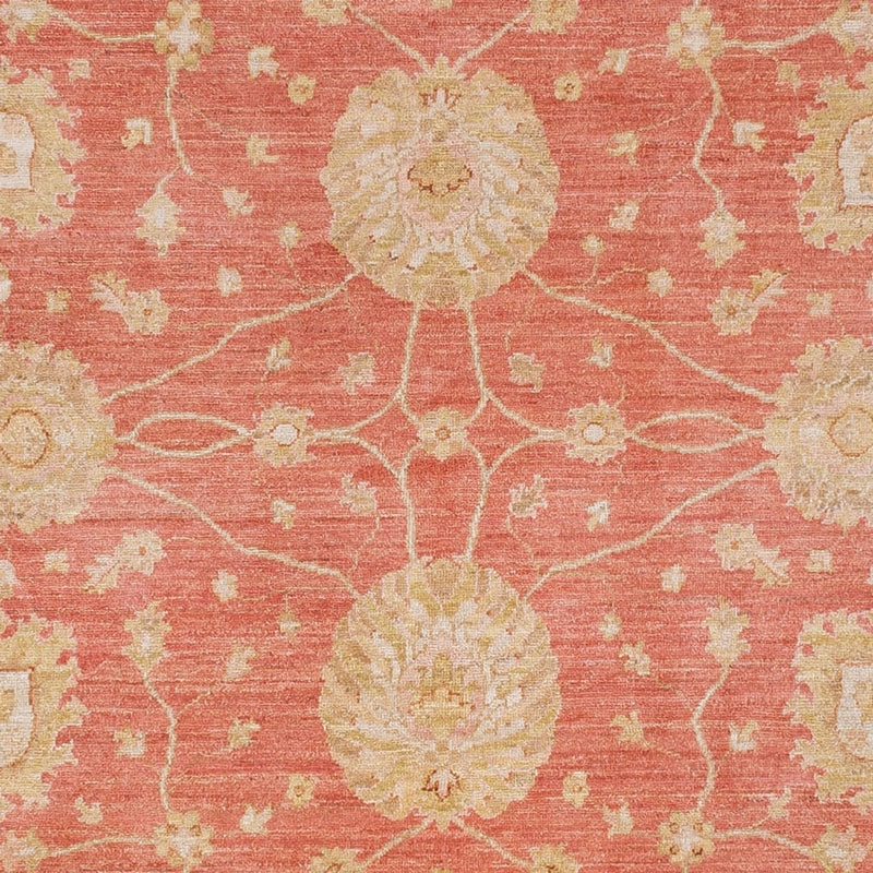 ツィーグラー絨毯 296x254cm - オリエンタル絨毯