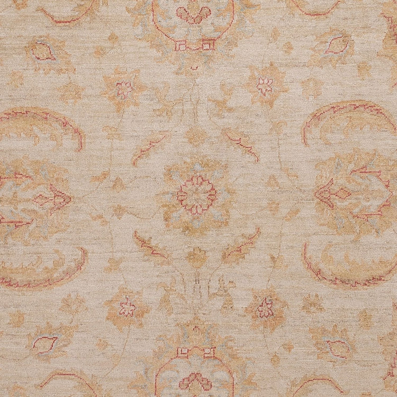 ツィーグラー絨毯 302x248cm - オリエンタル絨毯