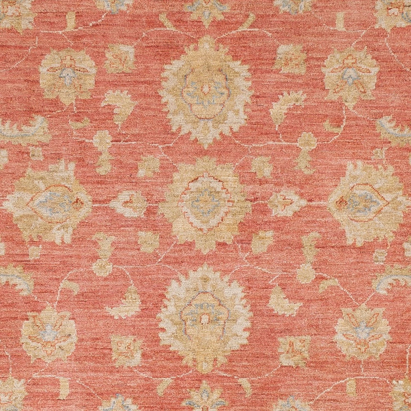 ツィーグラー絨毯 291x250cm - オリエンタル絨毯