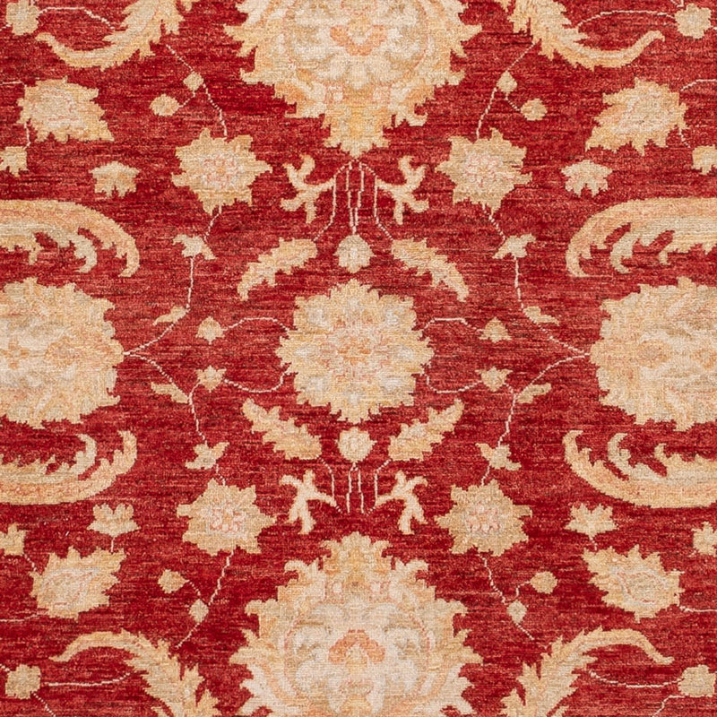 ツィーグラー絨毯 297x252cm - オリエンタル絨毯