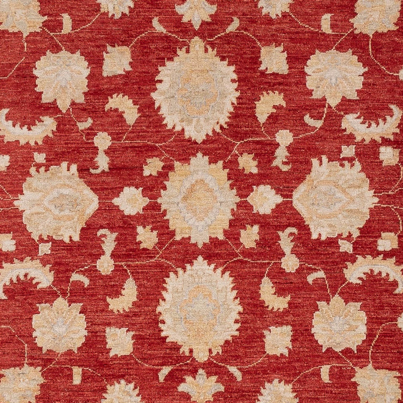 ツィーグラー絨毯 303x250cm - オリエンタル絨毯