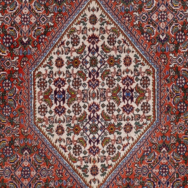 ビジャー 絨毯 166x112cm - ペルシャ絨毯