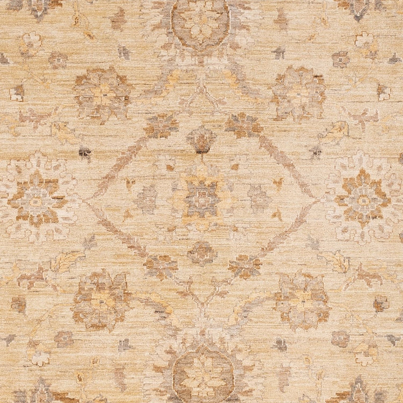 ツィーグラー絨毯 290x244cm - オリエンタル絨毯