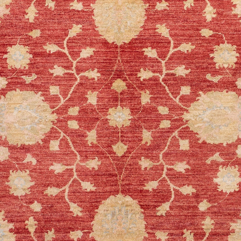 ツィーグラー絨毯 291x207cm - オリエンタル絨毯