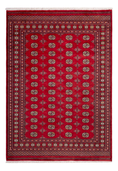 ブハラ 絨毯 206x292cm - オリエンタル絨毯