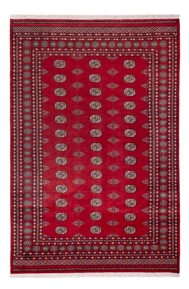 ブハラ 絨毯 294x198cm - オリエンタル絨毯