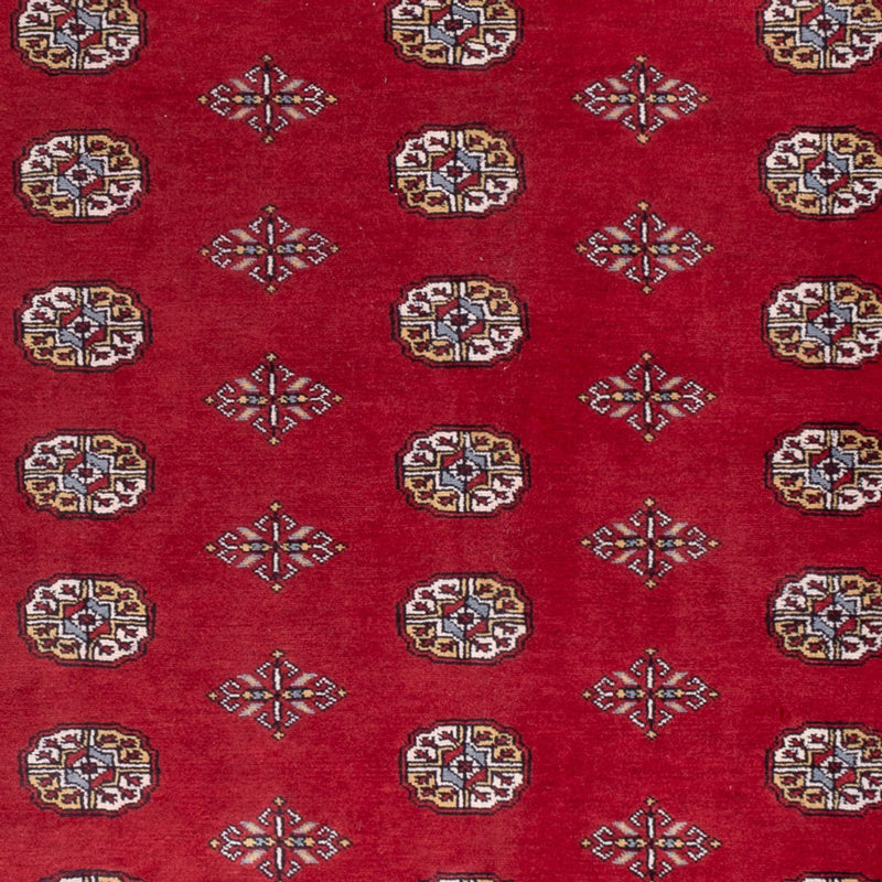 ブハラ 絨毯 294x198cm - オリエンタル絨毯