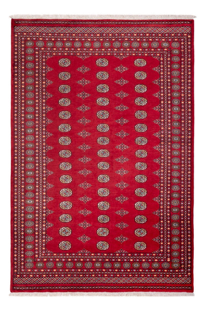 ブハラ 絨毯 206x304cm - オリエンタル絨毯