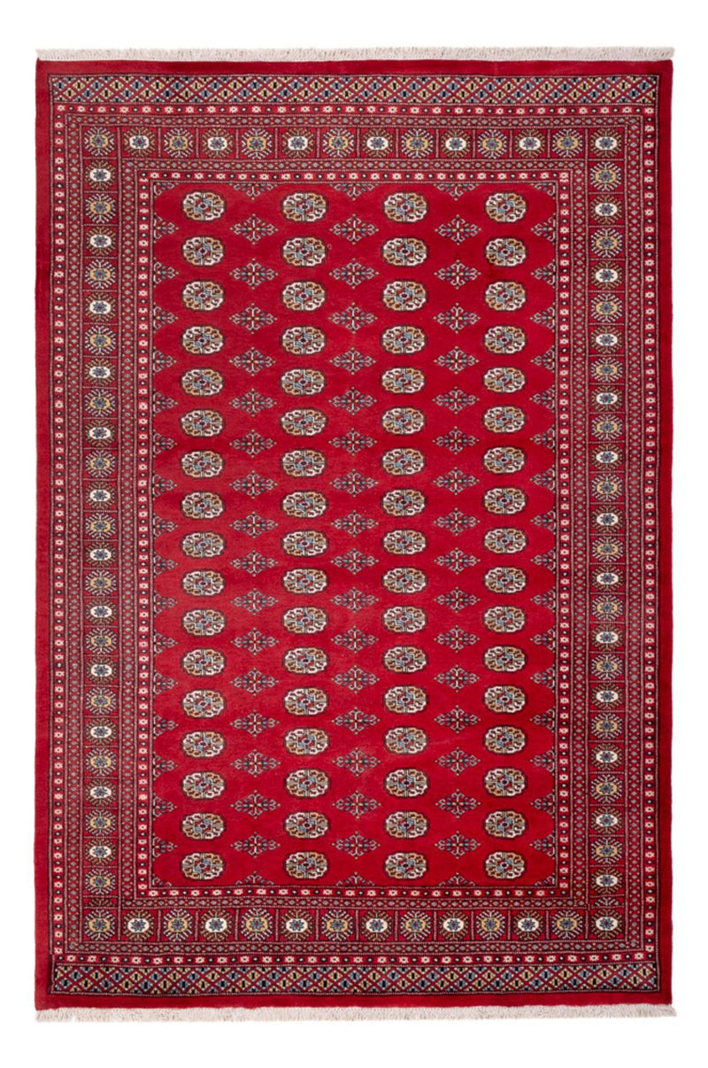ブハラ 絨毯 313x207cm - オリエンタル絨毯