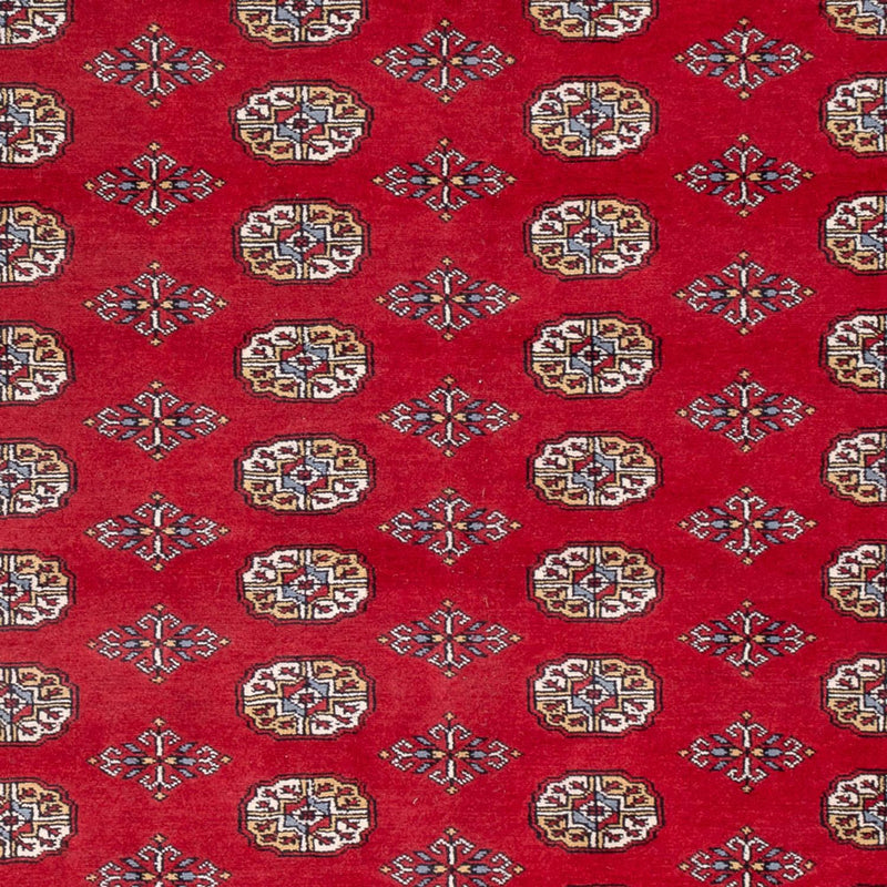 ブハラ 絨毯 313x207cm - オリエンタル絨毯
