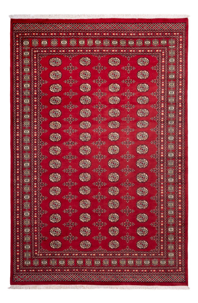 ブハラ 絨毯 318x210cm - オリエンタル絨毯