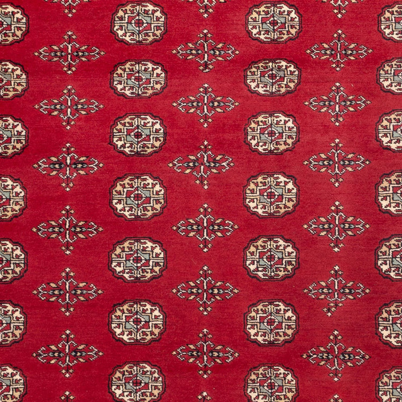 ブハラ 絨毯 318x210cm - オリエンタル絨毯