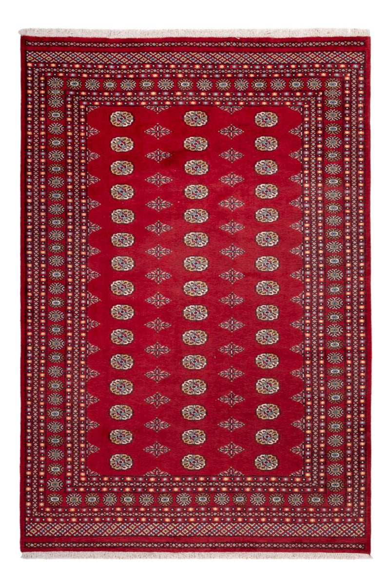 ブハラ 絨毯 308x207cm - オリエンタル絨毯