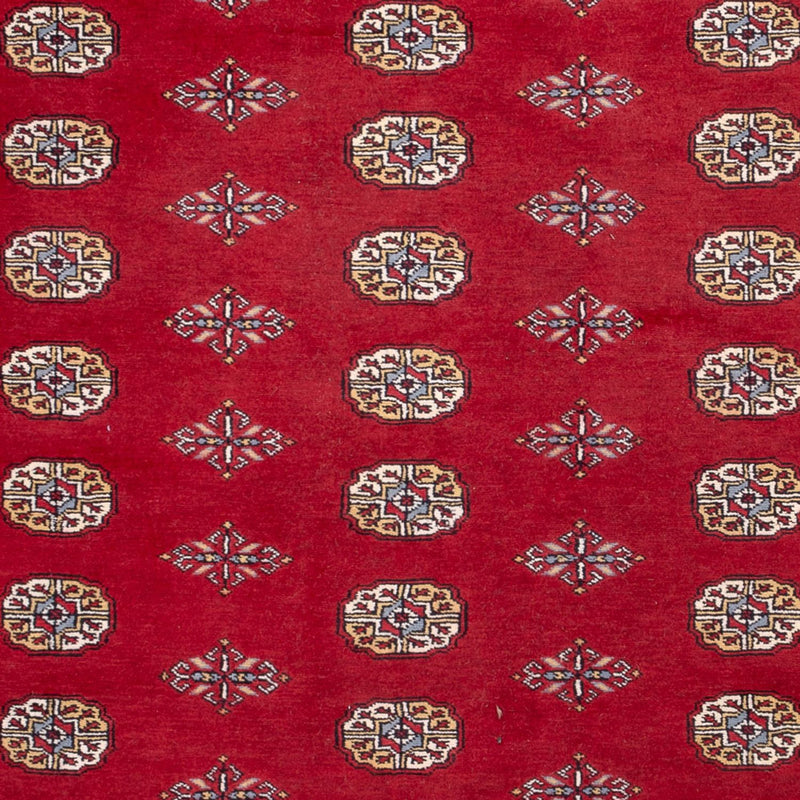 ブハラ 絨毯 308x207cm - オリエンタル絨毯