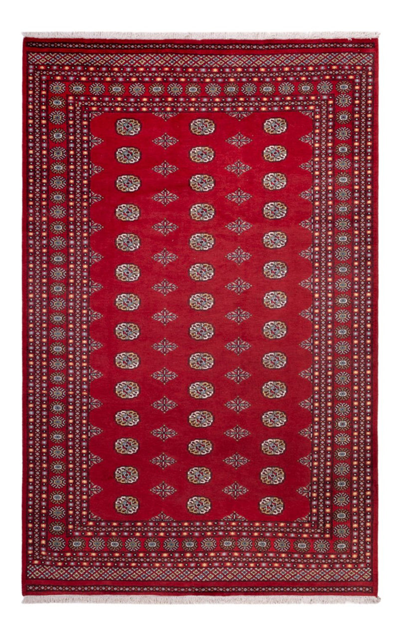 ブハラ 絨毯 314x202cm - オリエンタル絨毯