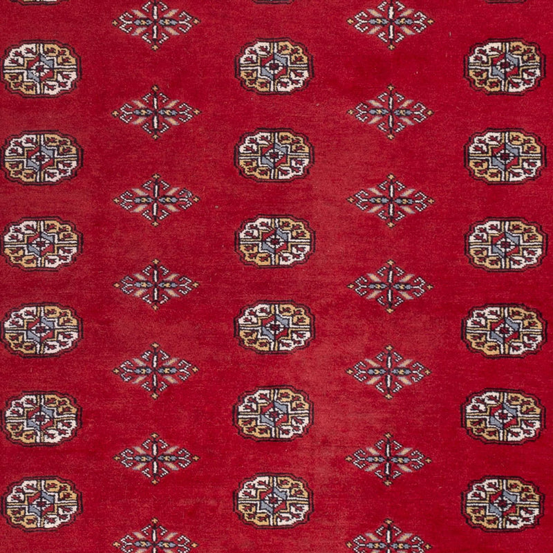 ブハラ 絨毯 306x202cm - オリエンタル絨毯