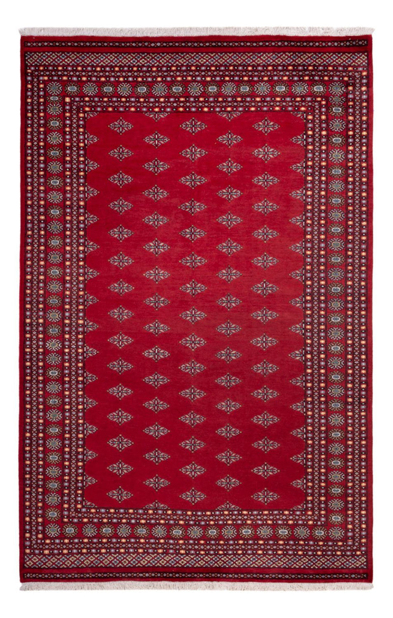 ブハラ 絨毯 317x204cm - オリエンタル絨毯
