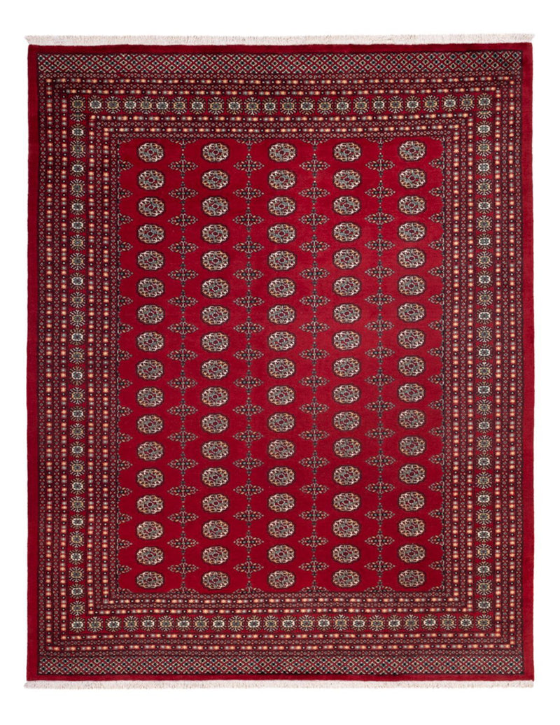 ブハラ 絨毯 309x246cm - オリエンタル絨毯