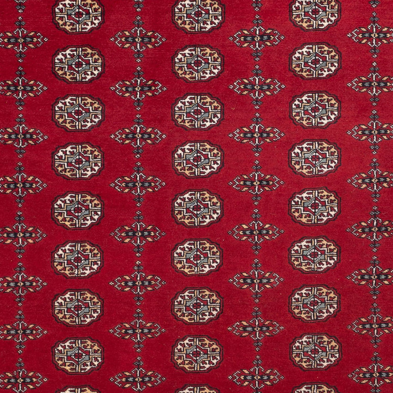 ブハラ 絨毯 309x246cm - オリエンタル絨毯