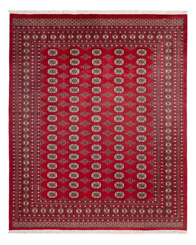 ブハラ 絨毯 244x305cm - オリエンタル絨毯