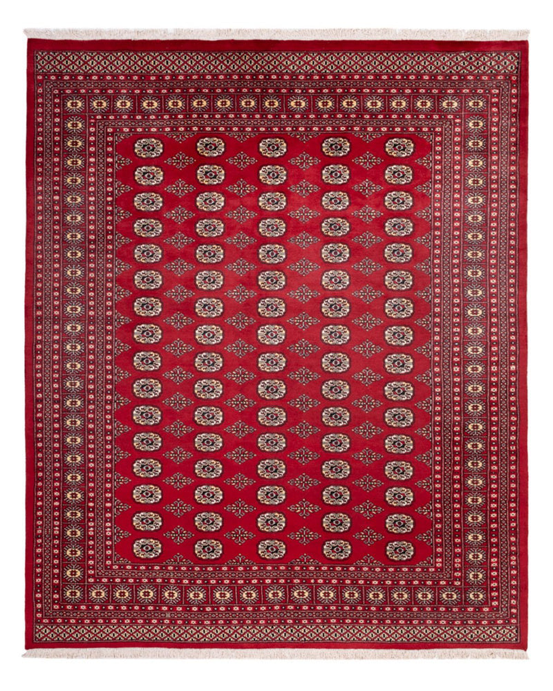 ブハラ 絨毯 305x244cm - オリエンタル絨毯