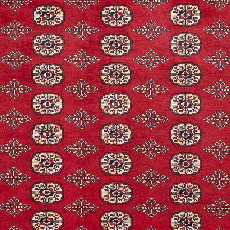 ブハラ 絨毯 305x244cm - オリエンタル絨毯