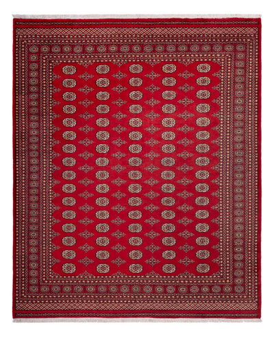 ブハラ 絨毯 252x305cm - オリエンタル絨毯