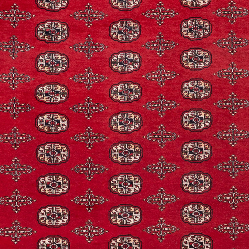 ブハラ 絨毯 319x250cm - オリエンタル絨毯