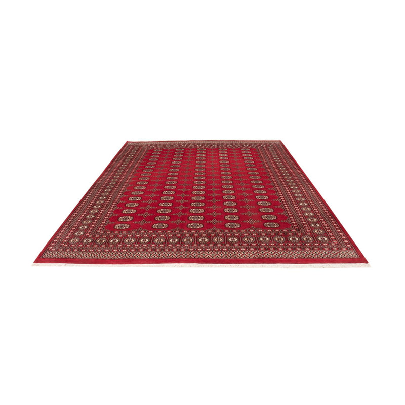 ブハラ 絨毯 319x250cm - オリエンタル絨毯