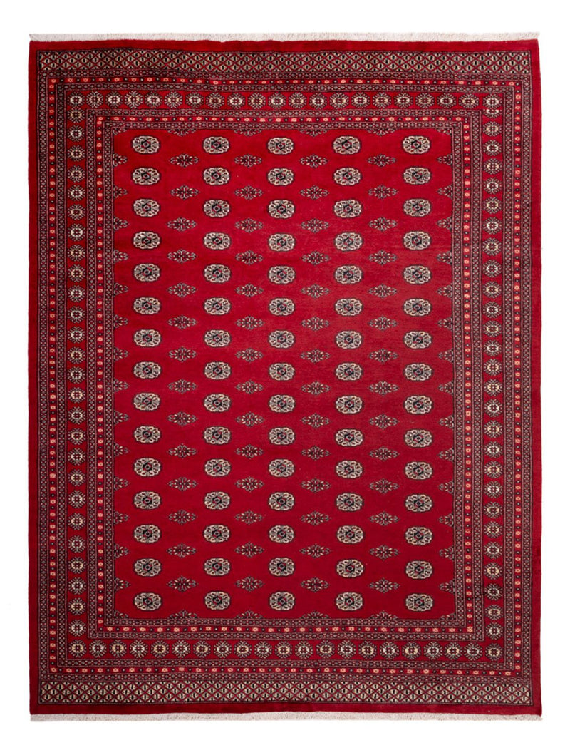 ブハラ 絨毯 323x248cm - オリエンタル絨毯