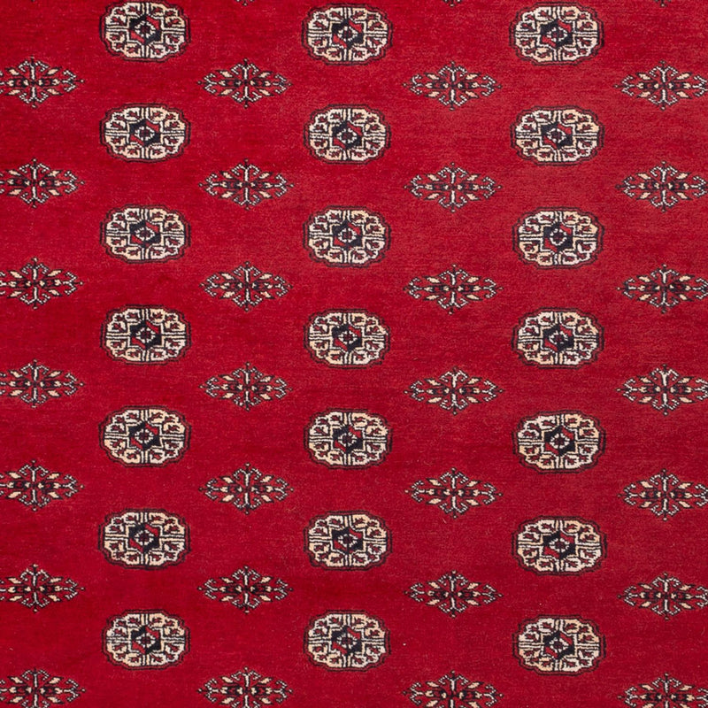 ブハラ 絨毯 323x248cm - オリエンタル絨毯